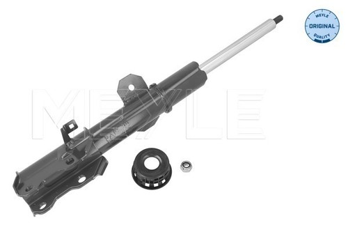 Shock absorber front - absorber,