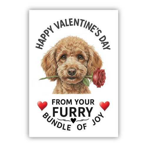 Multiple breeds valentine - breeds, valentine’s