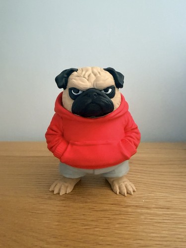 Urban angry pug model - |,