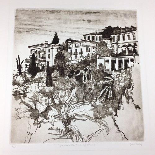 John hawley signed limited - hawley,