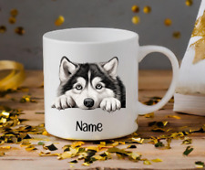 Alaskan Malamute Dog Peeping