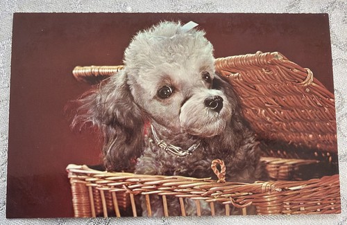 Vtg postcard grey - vtg, in