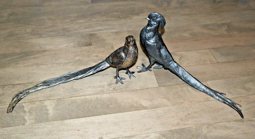 Pheasants mating pair - pheasants,