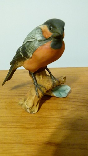 Kaiser bullfinch west german - kaiser,