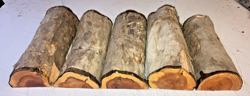 Half logs 5pcs - half,