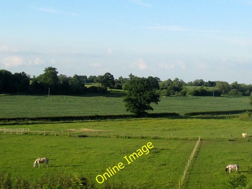 Photo 6x4 horses near hopsford - 6x4,