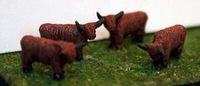 4 Highland Cattle Cows A105p
