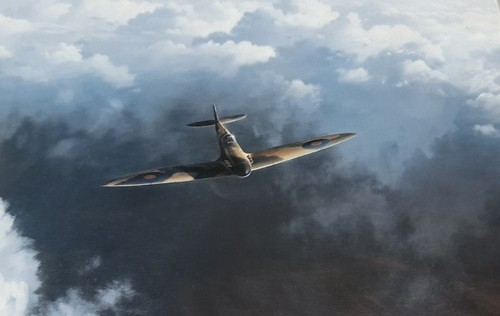 Print titled evening flight - print,