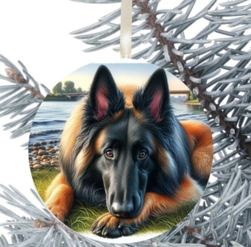 Belgian shepherd dog hanging - belgian,