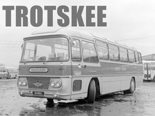 Larger Negative Shamrock &