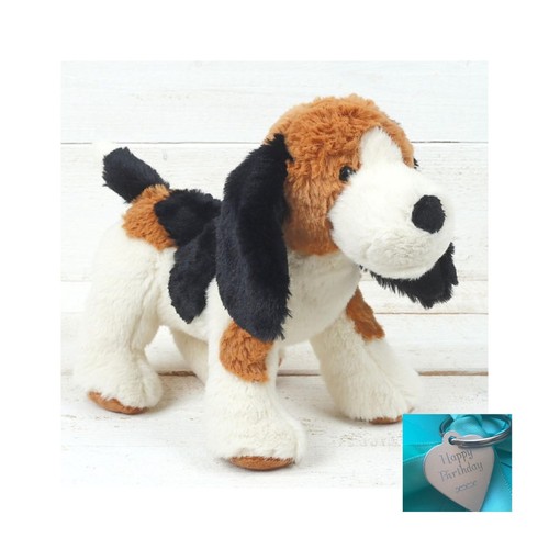 Brown and black - brown, dog