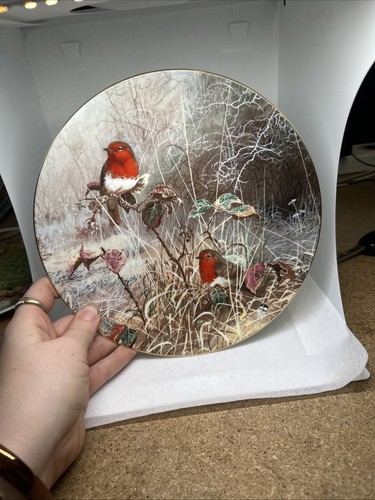 Robin redbreast bone china - redbreast",