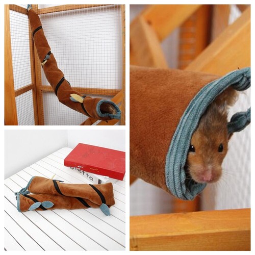 Small animal long tunnel rat - animal,