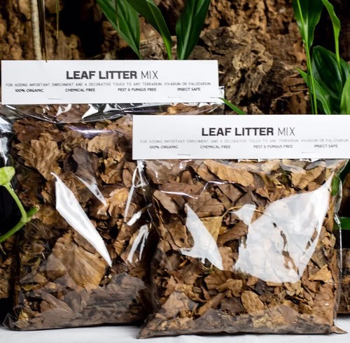Rainforest leaf litter - 2l, bio