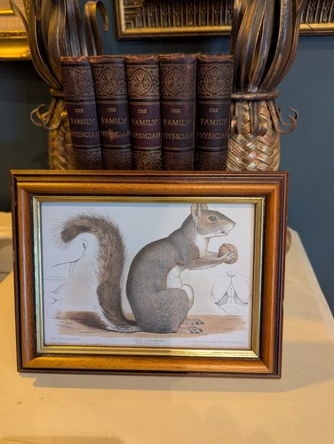 Framed antique art