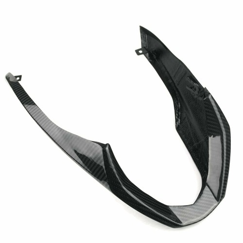 Triumph speed triple carbon - triple,