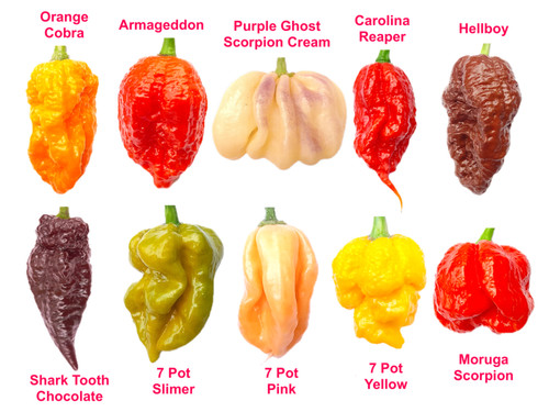 Worlds hottest chilli 100 - worlds,