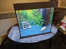 137 Litre Juwel Fish Tank Aquarium Set-up