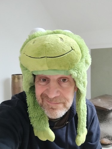 Pillow pets green - pets,