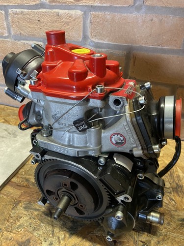 Rotax max senior evo engine - max,