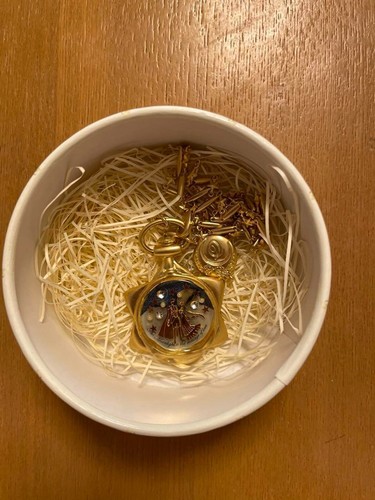 Sailor moon pot phase - sailor,