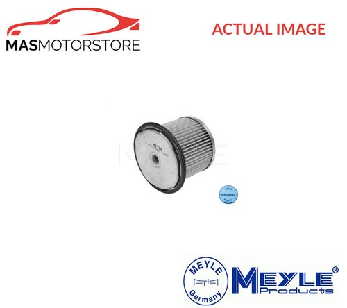 Engine fuel filter - fuel,