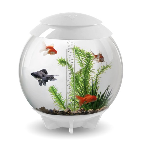 Biorb halo aquarium 30l white - halo,