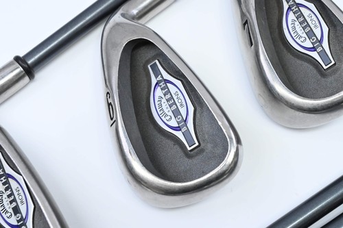 Ladies callaway big bertha - big,