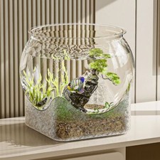 Round fish bowl - round, transparent