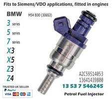 Petrol Fuel Injector