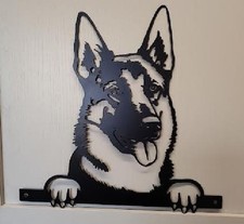 German Shepherd Alsatian Dog