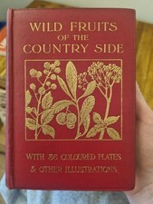 Edward Hulme Wild Fruits of