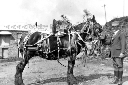 Bca decorated shire horse - bca-82,