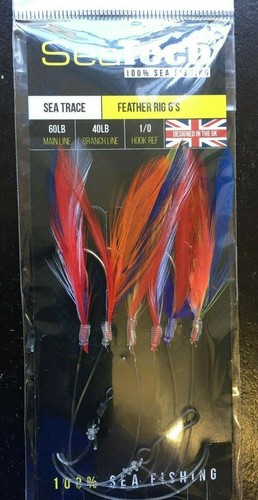 Mackerel cod feathers sea - x,