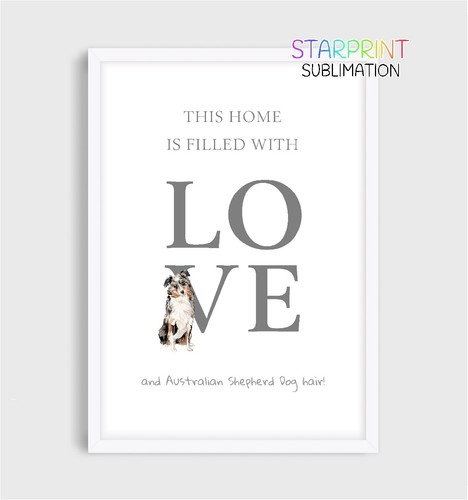 Australian shepherd dog this - australian,