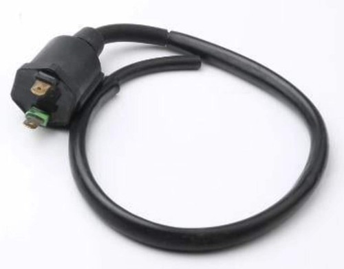 Dirt racing coil ignition - dirt,