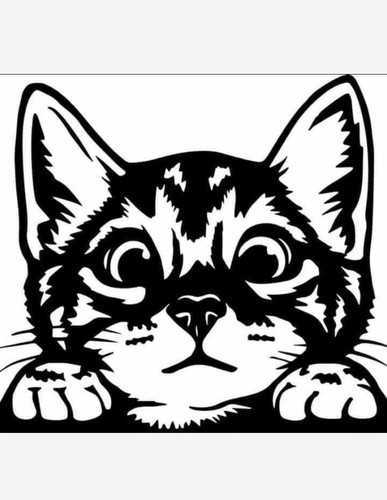 Peeking cat vinyl sticker - vinyl,
