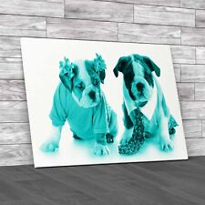 Fashion English Bulldog Puppies Girl Boy Teal Canvas Print Large Picture Wall