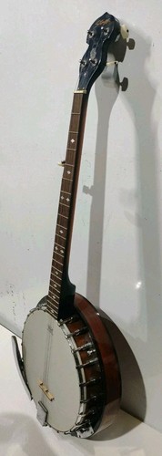 Remo weather king - weather, 5-string
