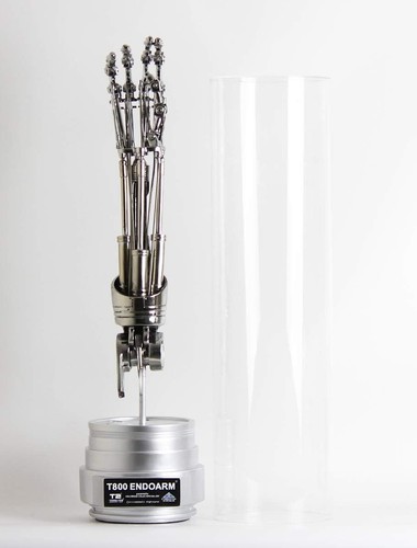 Terminator 800 endoskeleton - terminator, t-800