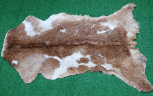 Luxury goat hide rug - hair, on