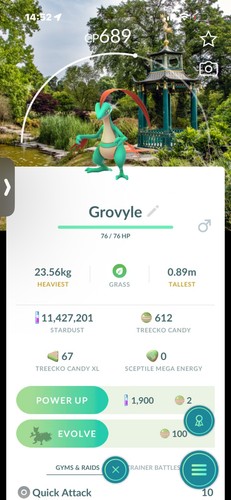 Pokemon shiny grovyle - go,