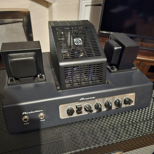 Ampeg portaflex 50t 50w - portaflex,