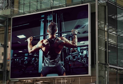 Bodybuilder gym guy man poster - guy,