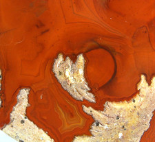 Thunder Egg, polished half