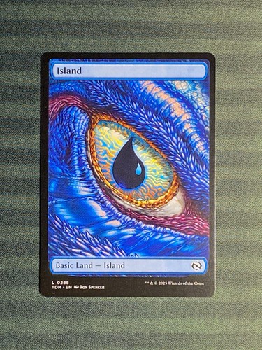 Island dragon eye land 0288 - island,
