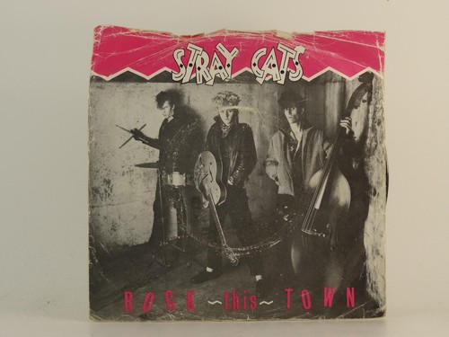 Stray cats rock this town - cats,