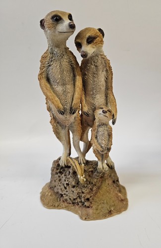 Country artists meerkat family - country,