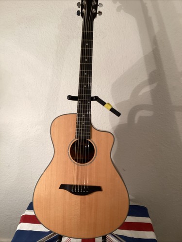 Electro acoustic guitar vec - electro,