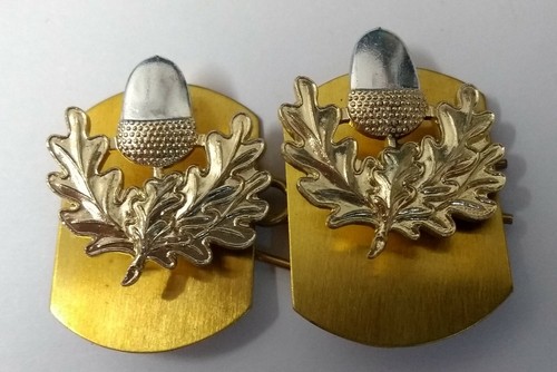 The cheshire regiment - regiment, collar